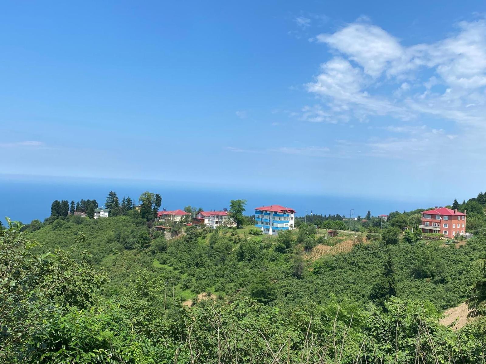 Mira * Trabzon